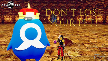 Craftopia - Pet Inventory Full ***BUG***