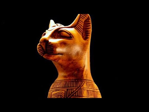 Video: Animales Sagrados Del Antiguo Egipto