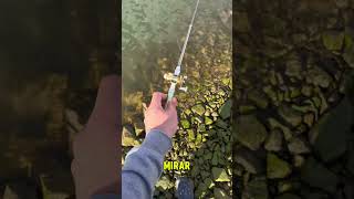 Pescando con mini caña 😱🎣 #pesca #pescadordeportivo #fishing #pescadeportiva #humor #peces #carp