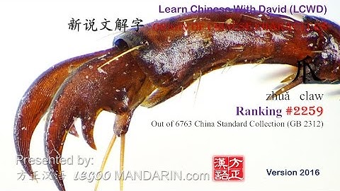 Origin of Chinese Characters - 2259 爪 zhuǎ claw  - Learn Chinese with Flash Cards