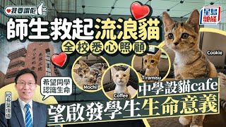 Publication Date: 2025-02-05 | Video Title: 師生救起流浪貓全校悉心照顧 中學設貓cafe望啟發學生生命意