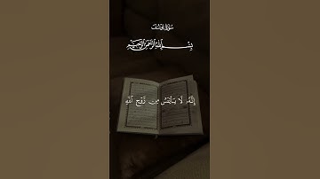 وَلَا تَيْأَسُوا مِن رَّوْحِ اللَّهِ | سورة يوسف #اكسبلور #قرآن #لايك