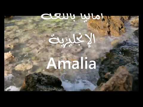 معنى أسم اماليا 