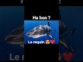 vus que tu est une fille 🤣 #phonkmusic