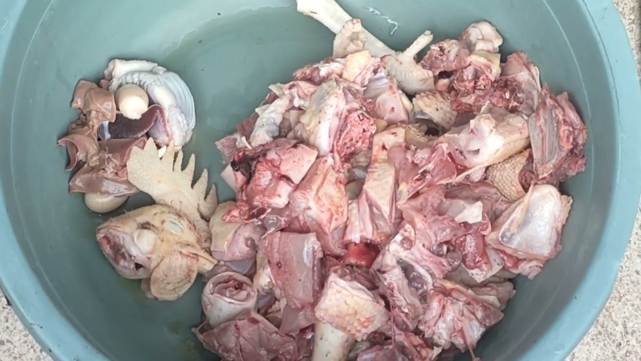 Kamu terlalu pecundang hingga pada akhirnya berakhir dipanciku 🤤 