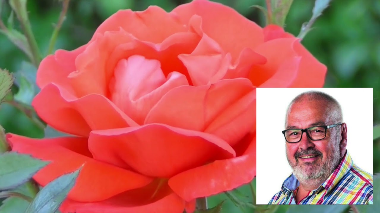 afscheidsviering Henk Roberts 