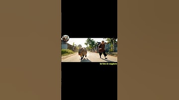 Capybara trộm dưa hấu #capybara  #haihuoc #funny