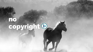 Dude where is my horse? - Country Music (No Copyright)