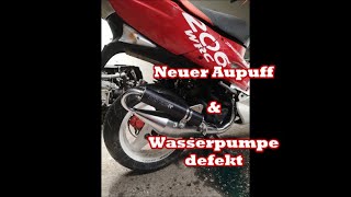 Wasserpumpe Reparatur Satz für Peugeot Speedfight 1 und 2