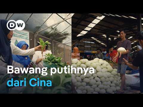 Jakarta darurat pangan, 98% kebutuhan dari luar kota | Eco Asia