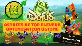 DEVENIR LE MEILLEUR ELEVEUR SUR DOFUS EN 2026 🔥 OPTIMISATION ULTIME 🔥