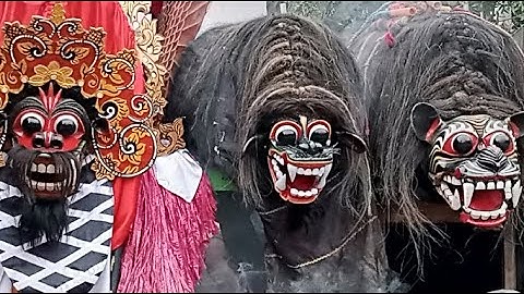 live🇮🇩📽️ jaranan muncul budoyo desa kunir Singojuruh