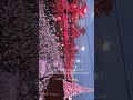 بني عامر