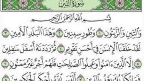 سورة التين - الشيخ محمد البراك
