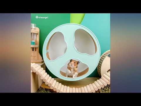 Niteangel Quiet Hamster Exercise Wheel - Clouds Series Hamster Running Wheels for review