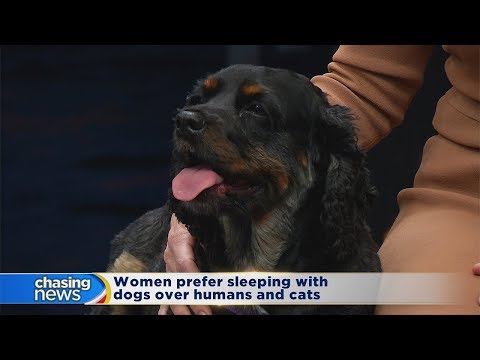 Women prefer sleeping with dogs over human and cats