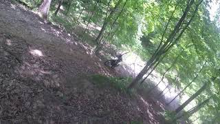 Athlete Statistics MillCreek DRZ