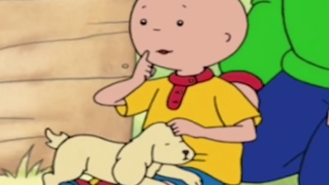 Caillou em Português ★ Caillou e Animais ★ Episódios Completos ★ Desenho Animado ★