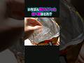 絶対に食べるな!脳がバグる偽物お菓子4種 #chooseone #pickone #whichone