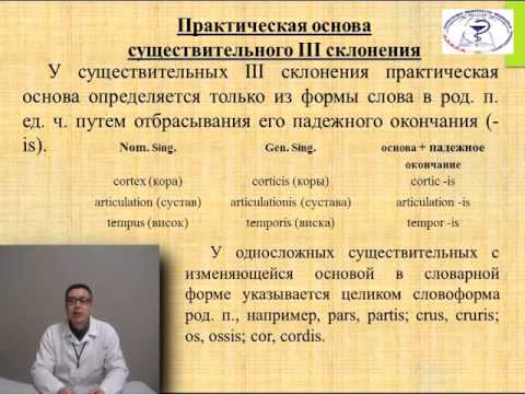 Лекция: «Имя существительное. Латинские несогласованные определения в медицинской терминологии».