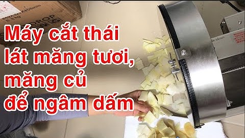Máy cắt thái lát măng tươi, măng củ, măng chua để ngâm dấm măng ớt