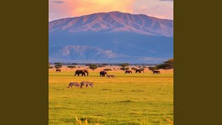 Safari na Africa