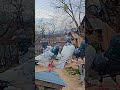 #kabootar #pigeon ♥️♥️