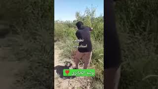 تطعيم شجر الزيتون ??❣️