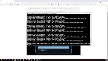 pico2018 in out error