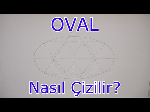 Video: Oval iki ölçülü formadırmı?