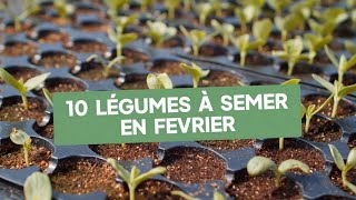 10 Légumes À Semer En Février - Conseils Astuces De Jardinage