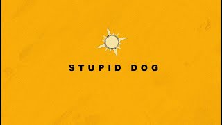 TOOBOE アルバム「Stupid dog」全曲試聴版