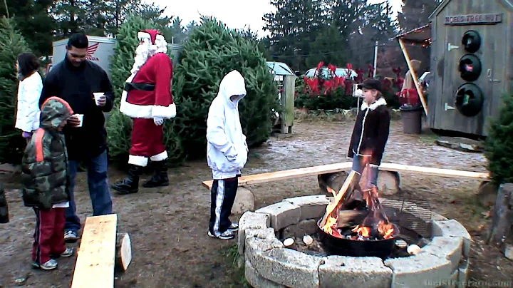 New Hampshire Christmas Tree Farm - Cut your own!
