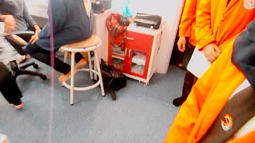 Kunjungan Industri D4 TEKNIK INFORMATIKA TO HIJUP.COM