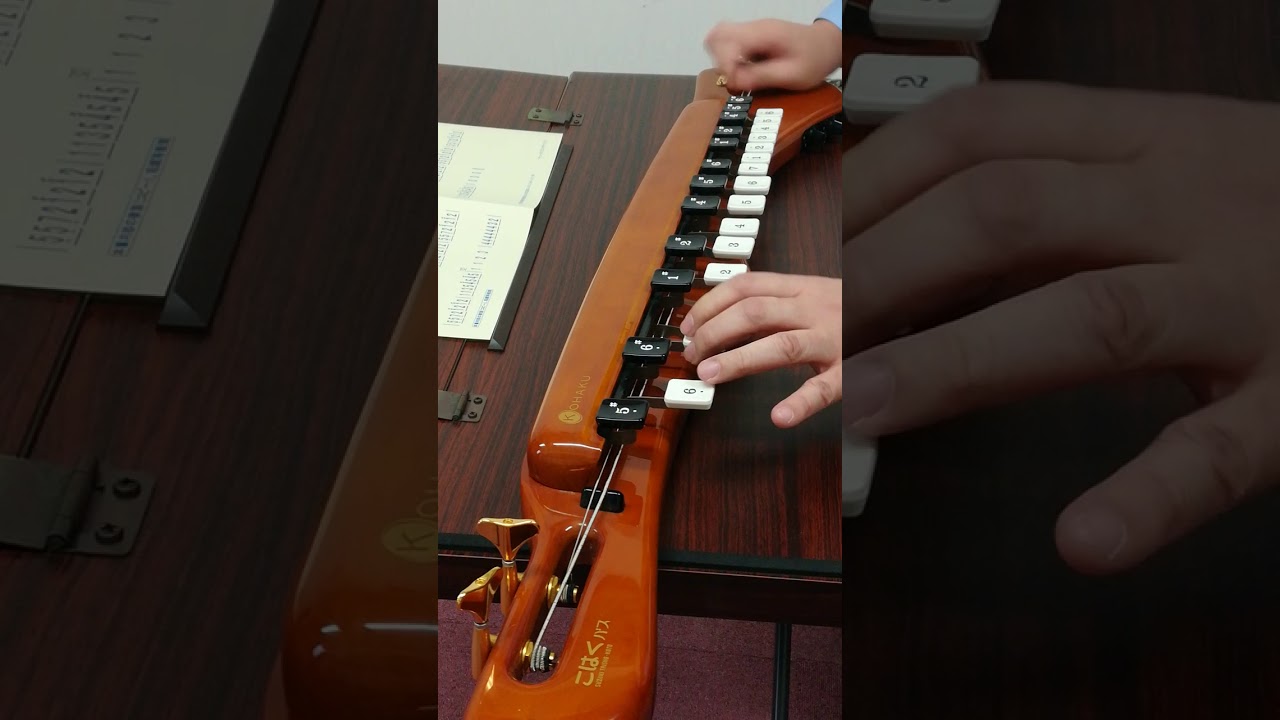 大正琴 ベースを弾いてみた！ 帰ってきたヨッパライ 編曲＆演奏 すずき 