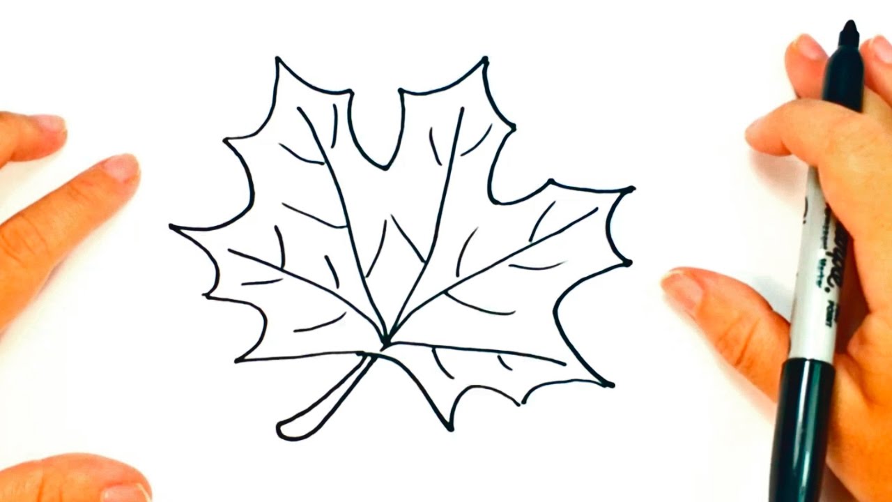 How to draw a Autumn Leaf | Autumn Leaf Easy Draw Tutorial - YouTube