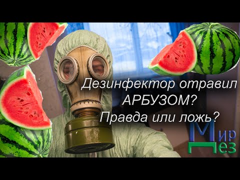 Отравление арбузом в Москве. Виноват дезинсектор?