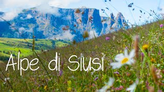 Alpe di Siusi: giro tra malghe e prati in fiore sull'altopiano più alto d'Europa #siusi #valgardena