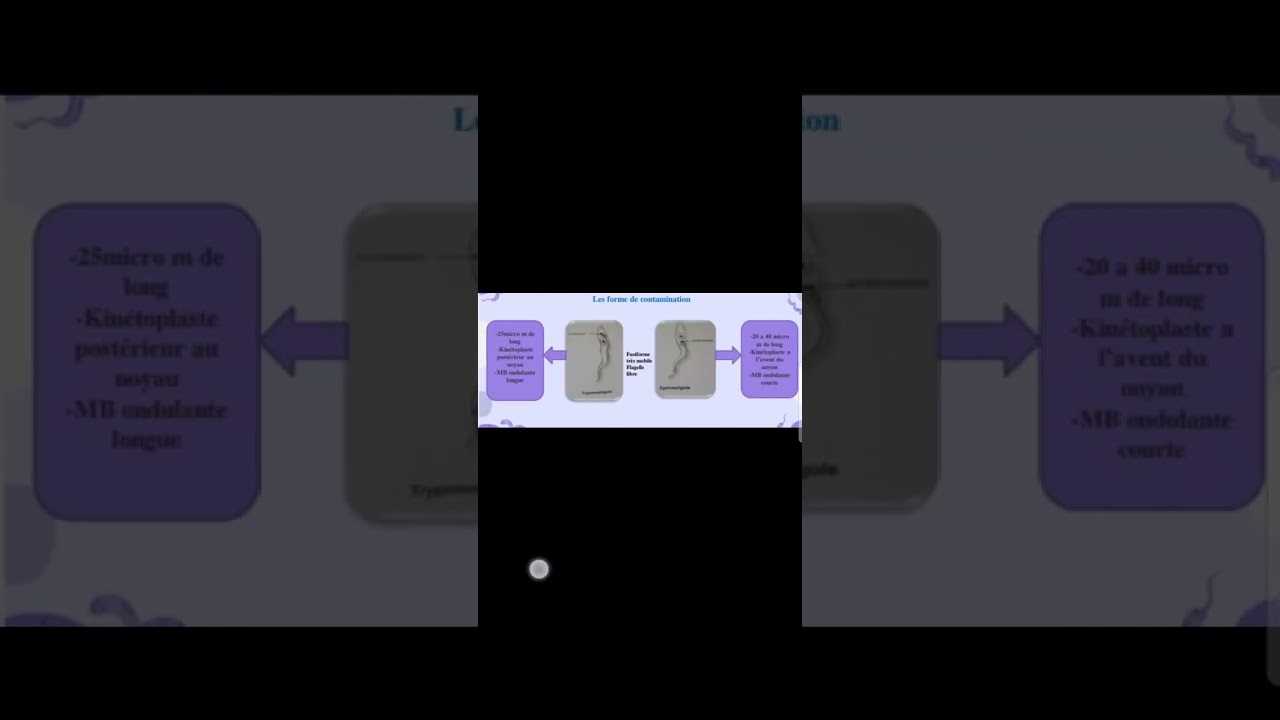 Trypanosoma brucei ( les deux sous espèces gambiense et rhodesiense)