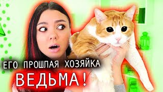 Ведьма ЗАКОЛДОВАЛА Моего Кота! Три Кота и их ИСТОРИЯ