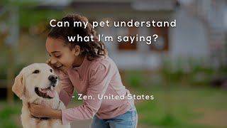 Can my pet understand what I'm saying?