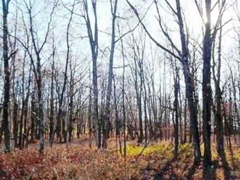319 Blue Spruce Rd, Hazle Twp, PA home video tour