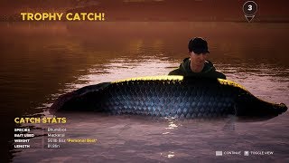 fishing sim world (bhumibol 561lb 8oz trophy fish screenshot 5