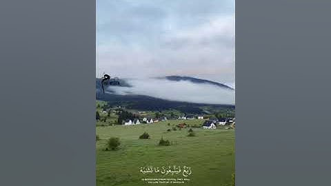 القارئ | حمزه سعيد { إِنَّ اللَّهَ لَا يَخْفَىٰ عَلَيْهِ شَيْءٌ فِي الْأَرْضِ وَلَا فِي السَّمَاءِ }