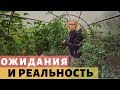 Огород. Ожидания и реальность. Влог. Просто Константиновы.