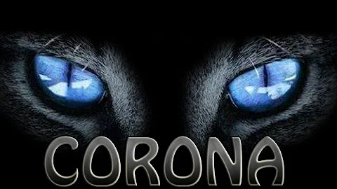 Watch the video about INTRODUCTION TO A SAVANAH F5 KITTEN NAMED