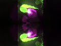 Relaxing Meditation Music 1 Hour | Hypnotic Colorful Smoke &amp; Abstract Fluid Motion 4K