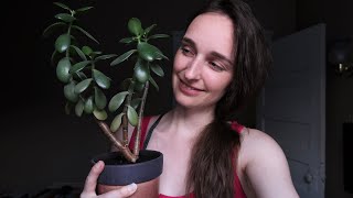 Asmr 🌱 Indoor Succulent Gardening Video 🌱 Lots of Soothing Sounds (Whispered/Soft Spoken) screenshot 3