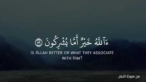 قل الحمد لله القران الكريم مقاطع قرآن قصيرة حلات واتساب صوت جميل 💞