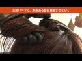 自然界のヘアカラー【ナチュラルハーブカラー】リップスター